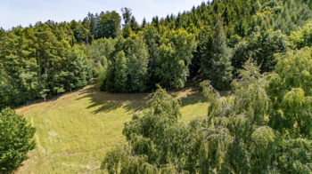 Prodej chaty / chalupy 60 m², Chlum