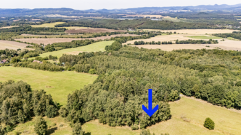 Prodej chaty / chalupy 60 m², Chlum