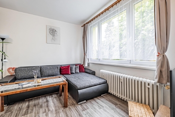 Obývací pokoj/ložnice. - Pronájem bytu 1+1 v osobním vlastnictví 38 m², Jindřichův Hradec