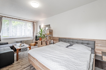 Obývací pokoj/ložnice. - Pronájem bytu 1+1 v osobním vlastnictví 38 m², Jindřichův Hradec 