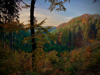 Prodej pozemku 2960 m², Blatce