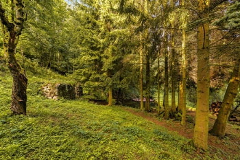 Prodej domu 400 m², Úštěk
