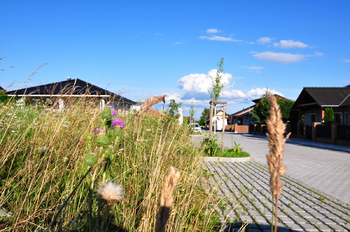 Prodej pozemku 970 m², Litoměřice