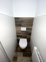 Pronájem bytu 4+kk v osobním vlastnictví 111 m², Plzeň