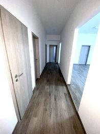 Pronájem bytu 4+kk v osobním vlastnictví 111 m², Plzeň