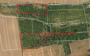 Prodej pozemku 20682 m², Slaný