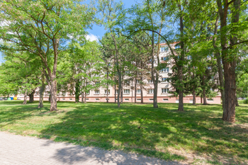 Prodej bytu 2+1 v družstevním vlastnictví 54 m², Most