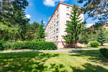 Prodej bytu 2+1 v družstevním vlastnictví 54 m², Most