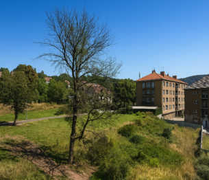 Okolní BD v rekonstrukci + rozparcelované pozemky města, navazující na původní zástavbu RD. - Prodej nájemního domu 972 m², Ústí nad Labem