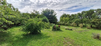 Zahrada - Prodej domu 109 m², Kulířov