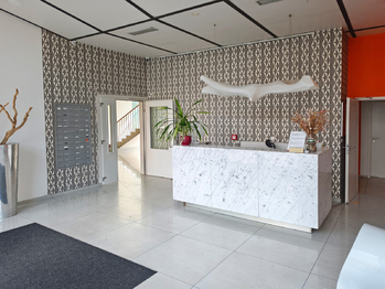 Přízemí budovy. Vstupní chodba a recepce.  - Pronájem bytu 1+kk v osobním vlastnictví 35 m², Praha 8 - Karlín