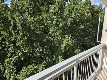 Pronájem bytu 1+kk v osobním vlastnictví 27 m², Pardubice
