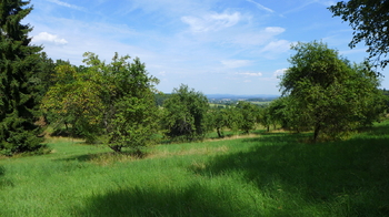Prodej pozemku 18431 m², Miloňovice