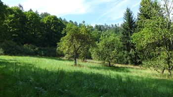 Prodej pozemku 18431 m², Miloňovice