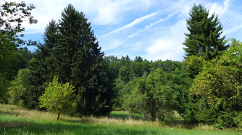 Prodej pozemku 18431 m², Miloňovice