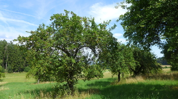Prodej pozemku 18431 m², Miloňovice