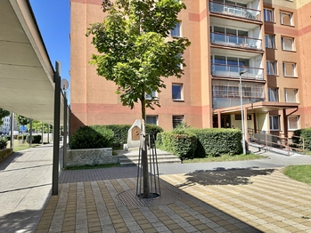 Pronájem bytu 2+kk v osobním vlastnictví 46 m², Kladno