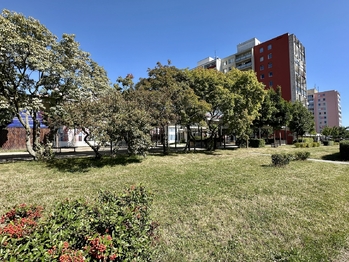 Pronájem bytu 2+kk v osobním vlastnictví 46 m², Kladno