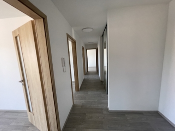 Pronájem bytu 4+kk v osobním vlastnictví 1667 m², Ždánice
