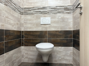 Pronájem bytu 1+kk v osobním vlastnictví 63 m², Železná Ruda