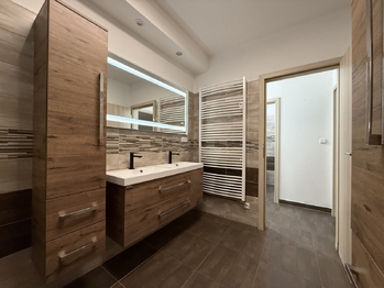 Pronájem bytu 1+kk v osobním vlastnictví 63 m², Železná Ruda