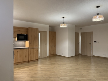 Pronájem bytu 1+kk v osobním vlastnictví 63 m², Železná Ruda