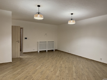 Pronájem bytu 1+kk v osobním vlastnictví 63 m², Železná Ruda