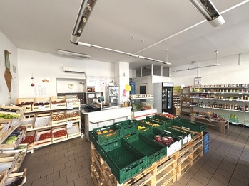 Pronájem obchodních prostor 80 m², Šumperk