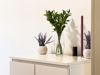 Pronájem bytu 3+1 v osobním vlastnictví 95 m², Praha 2 - Vinohrady