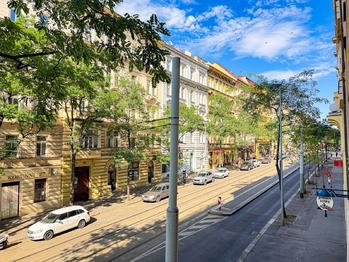 Výhled z okna - Pronájem bytu 3+1 v osobním vlastnictví 95 m², Praha 2 - Vinohrady