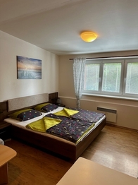 Prodej apartmánu 26 m², Lipno nad Vltavou