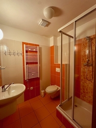 Prodej apartmánu 26 m², Lipno nad Vltavou