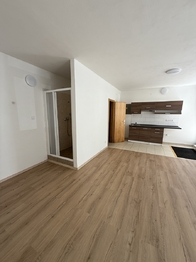 Pronájem bytu 1+kk v osobním vlastnictví 37 m², Brno