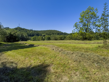 Prodej pozemku 6081 m², Krhová