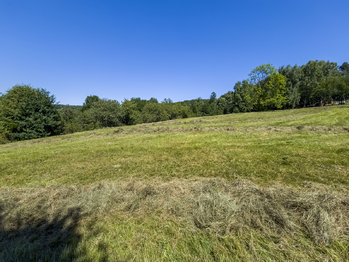 Prodej pozemku 6081 m², Krhová