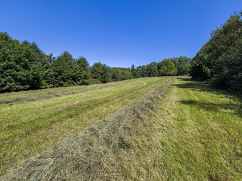 Prodej pozemku 6081 m², Krhová