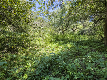 Prodej pozemku 6081 m², Krhová