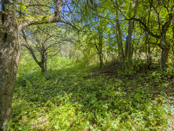Prodej pozemku 6081 m², Krhová
