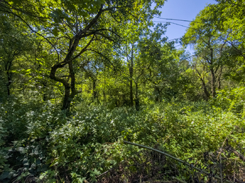 Prodej pozemku 6081 m², Krhová