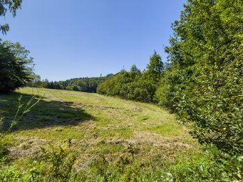 Prodej pozemku 6081 m², Krhová