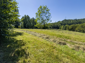 Prodej pozemku 6081 m², Krhová