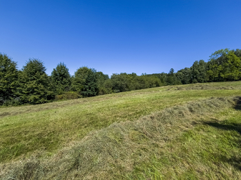 Prodej pozemku 5528 m², Krhová