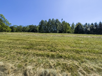Prodej pozemku 5528 m², Krhová