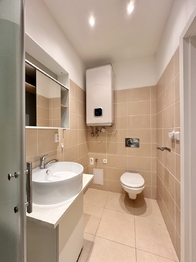 Pronájem bytu 1+1 v osobním vlastnictví 30 m², Brandýs nad Labem-Stará Boleslav