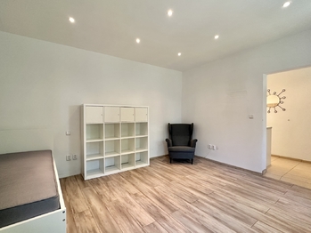 Pronájem bytu 1+1 v osobním vlastnictví 30 m², Brandýs nad Labem-Stará Boleslav