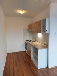 Pronájem bytu 1+kk v družstevním vlastnictví 33 m², Most