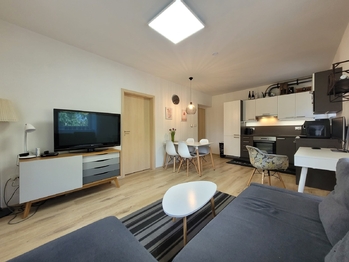 Pronájem bytu 2+kk v osobním vlastnictví 42 m², Lipová-lázně