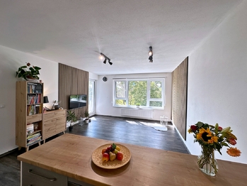 Prodej bytu 4+kk v družstevním vlastnictví 93 m², České Budějovice