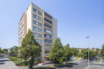 Pronájem bytu 3+1 v osobním vlastnictví 67 m², Praha 3 - Žižkov