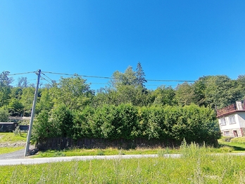 Pohled z cesty - Prodej pozemku 1359 m², Karlovice 